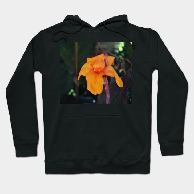 Orange Canna Lily Hoodie by Cynthia48